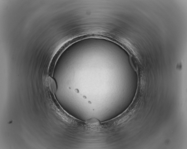 X0000090710924200707271128