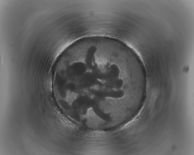 X0000090710925200707271128