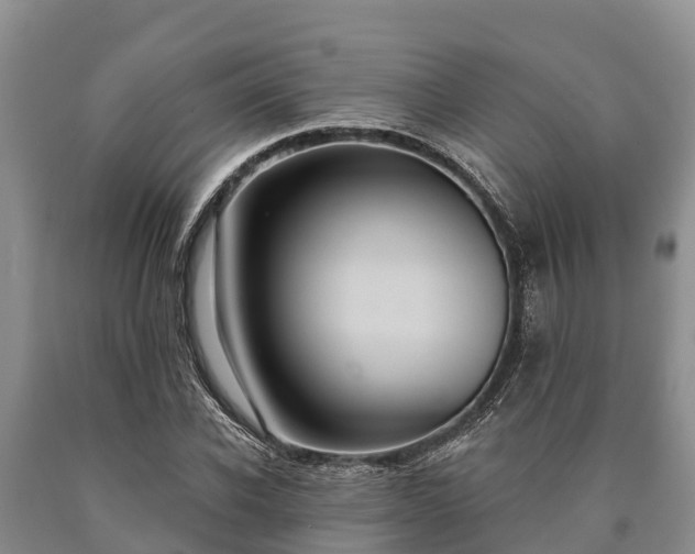 X0000090710926200707271128