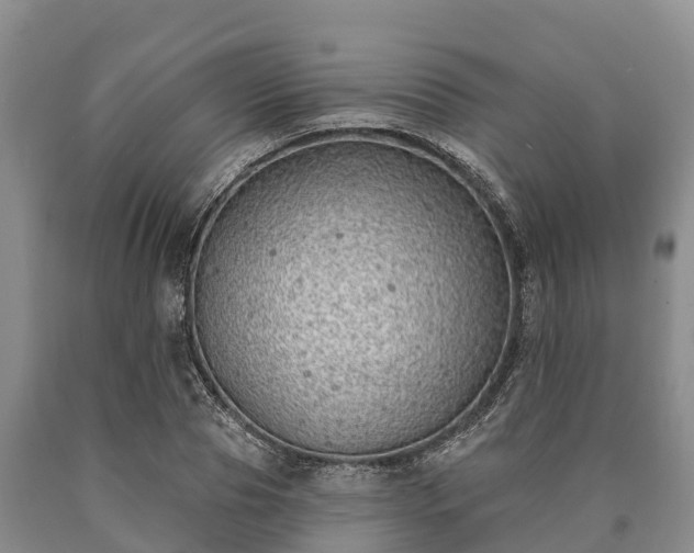 X0000090710929200707271128