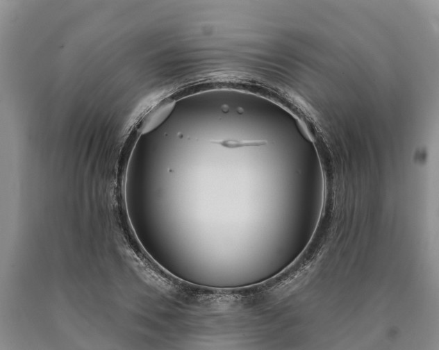 X0000090710930200707271128