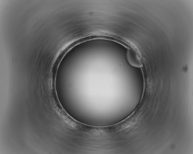 X0000090710931200707271128