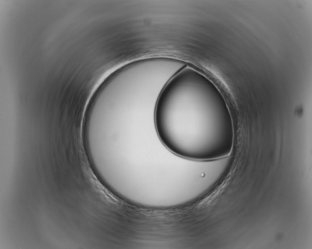 X0000090710932200707271128