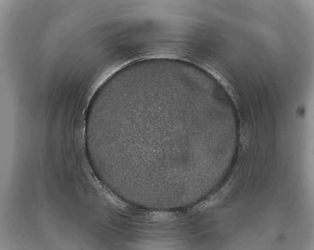 X0000090710933200707271128