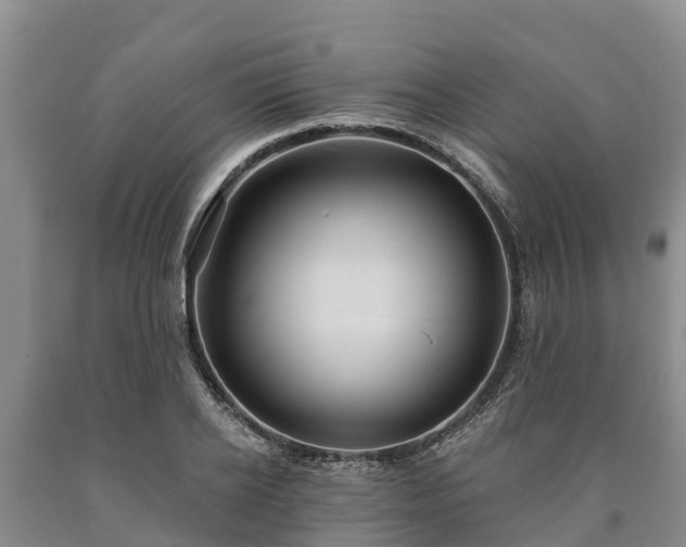 X0000090710934200707271128