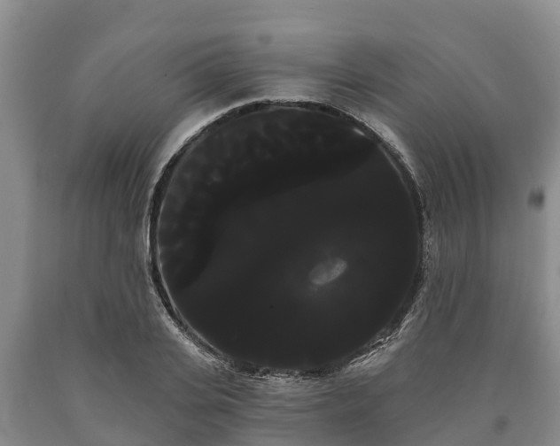 X0000090710935200707271128