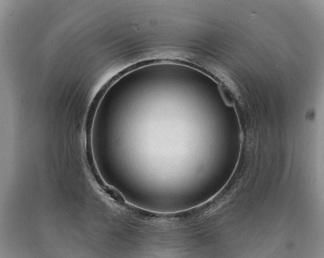 X0000090710936200707271128