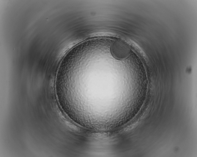 X0000090710937200707271128