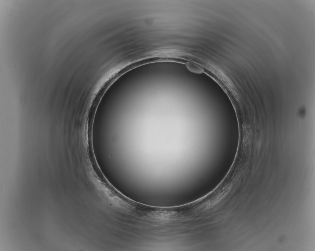 X0000090710939200707271128