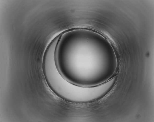 X0000090710940200707271128