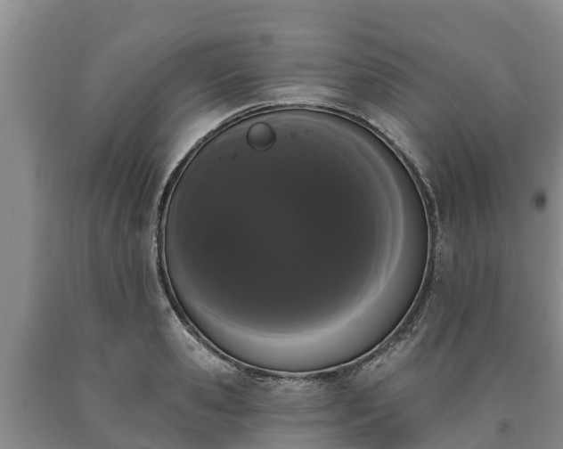 X0000090710941200707271128