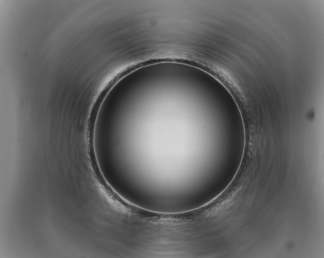 X0000090710942200707271128