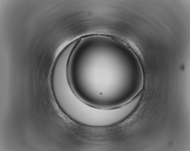 X0000090710944200707271128