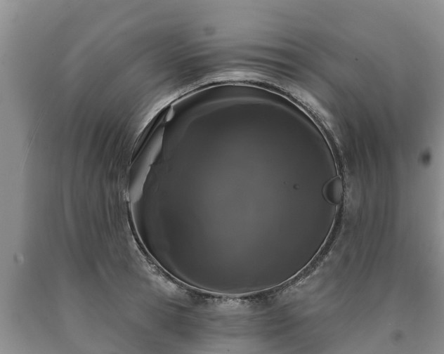 X0000090710945200707271128