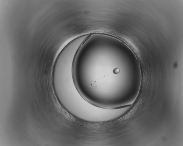 X0000090710948200707271128