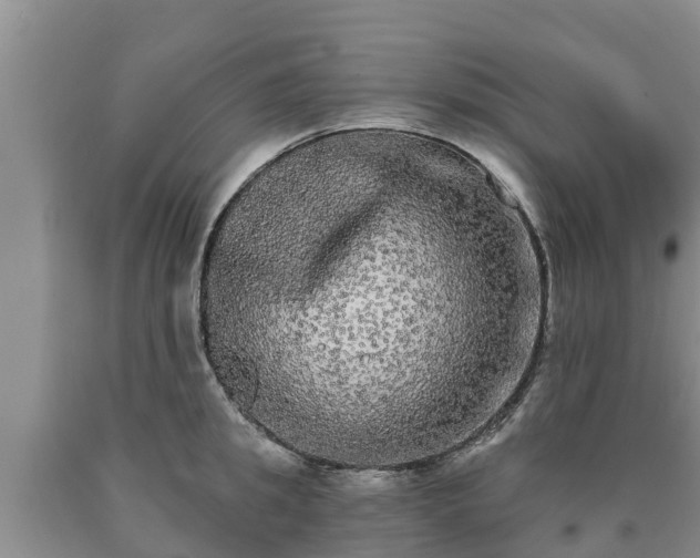 X0000090710949200707271128