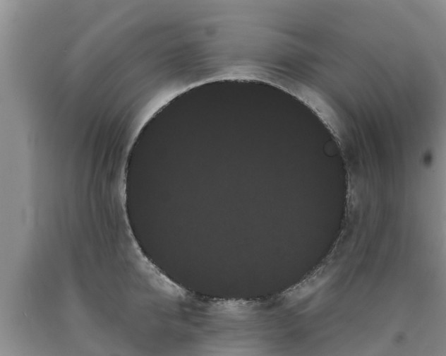 X0000090710950200707271128