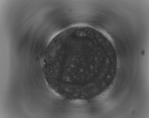 X0000090710953200707271128