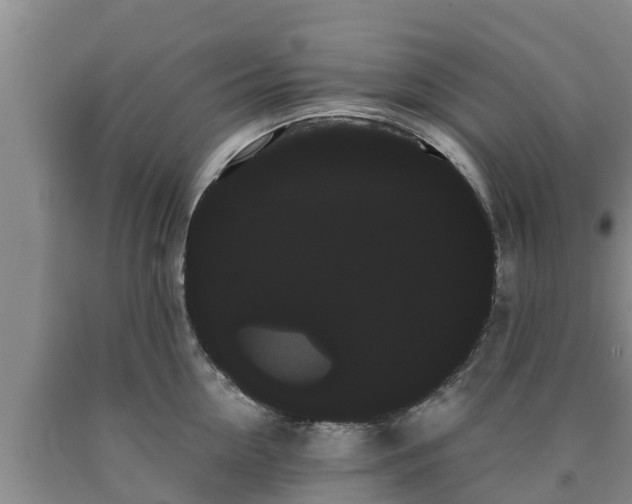 X0000090710954200707271128