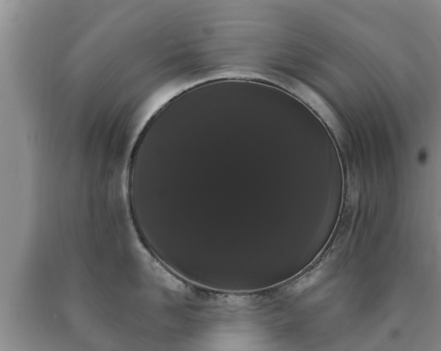 X0000090710958200707271129