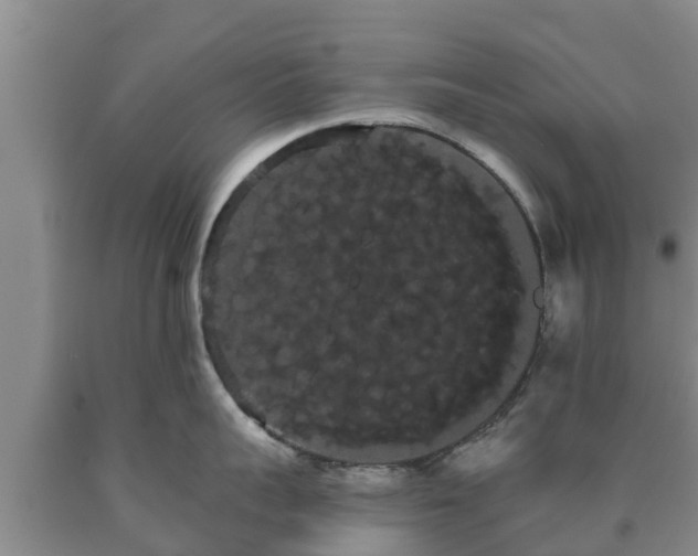 X0000090710959200707271129