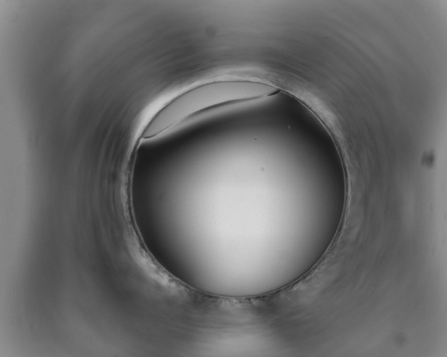 X0000090710960200707271129