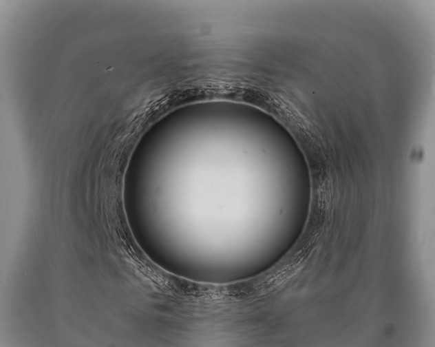 X0000090710961200707271128