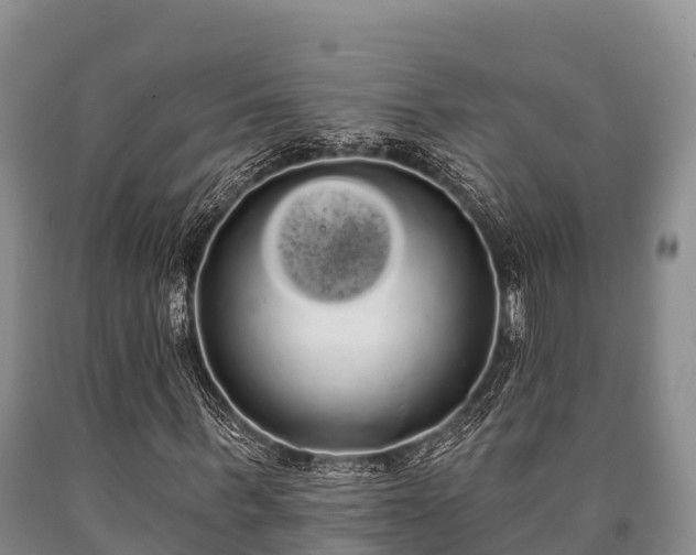 X0000090710963200707271128