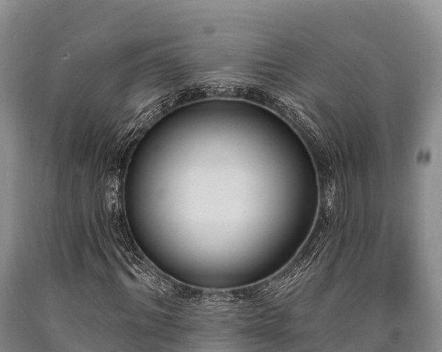 X0000090710964200707271128