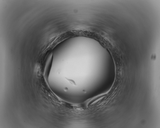 X0000090710965200707271128