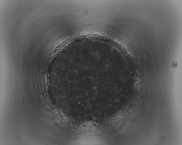 X0000090710966200707271128