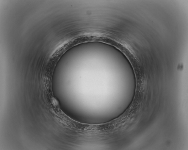 X0000090710967200707271128