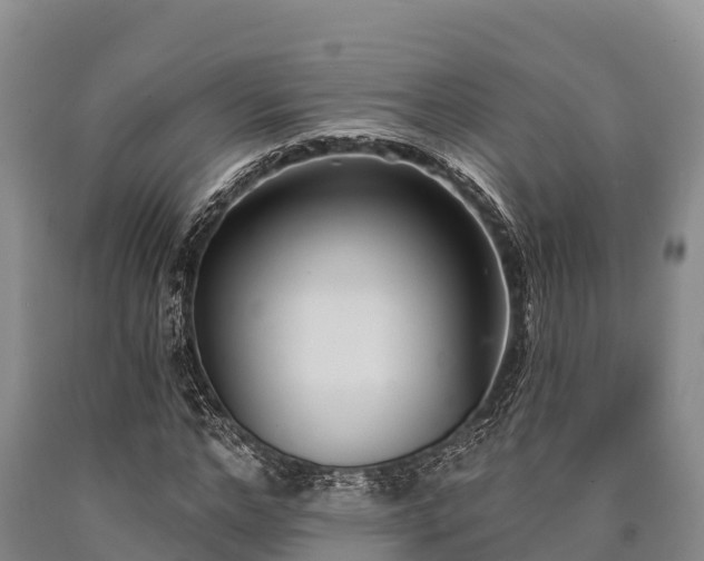 X0000090710968200707271128