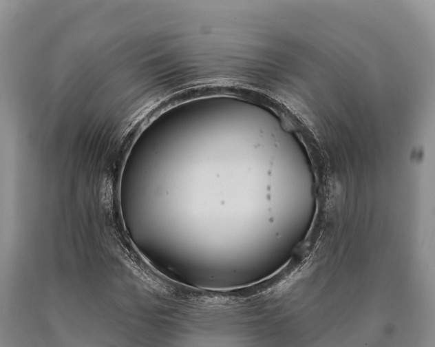 X0000090710969200707271128