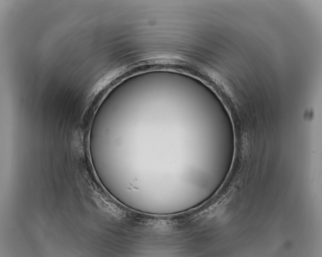 X0000090710970200707271128