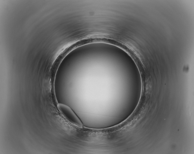 X0000090710973200707271128