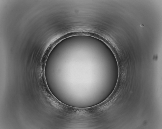 X0000090710974200707271128