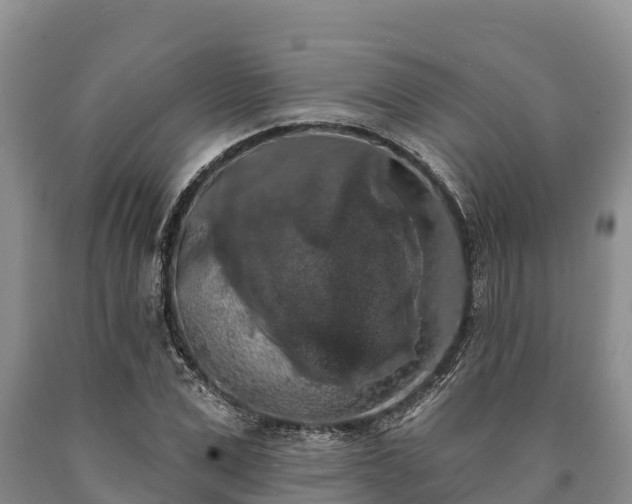 X0000090710975200707271128