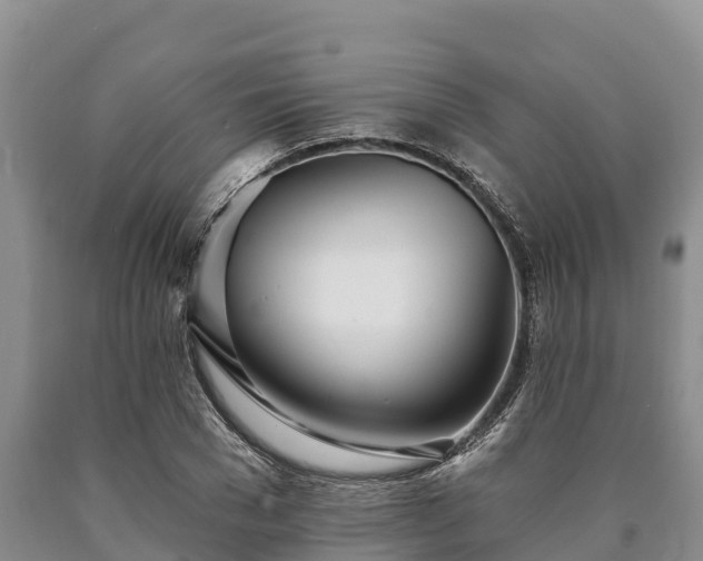 X0000090710977200707271128