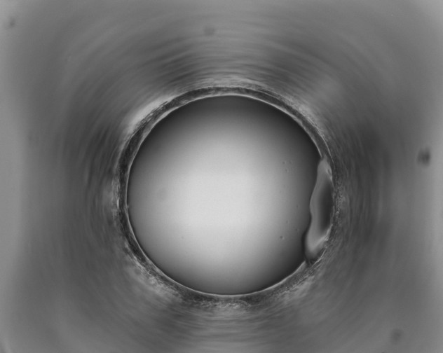 X0000090710979200707271128