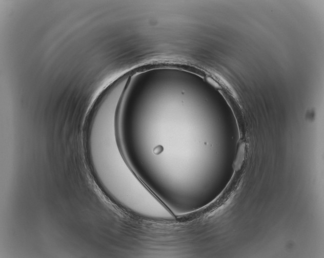 X0000090710981200707271128