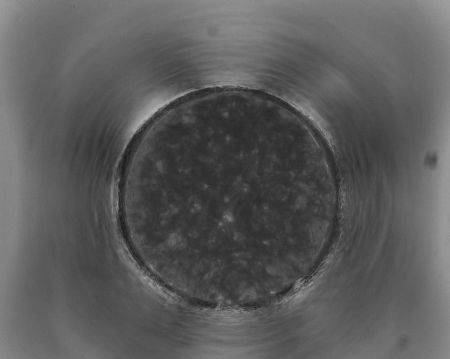 X0000090710983200707271128