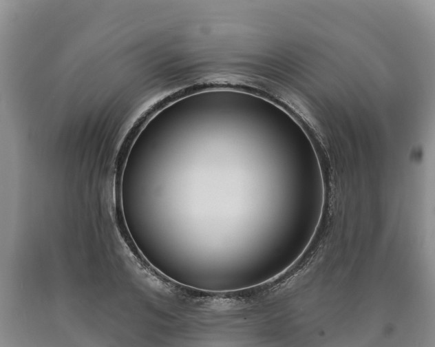 X0000090710984200707271128