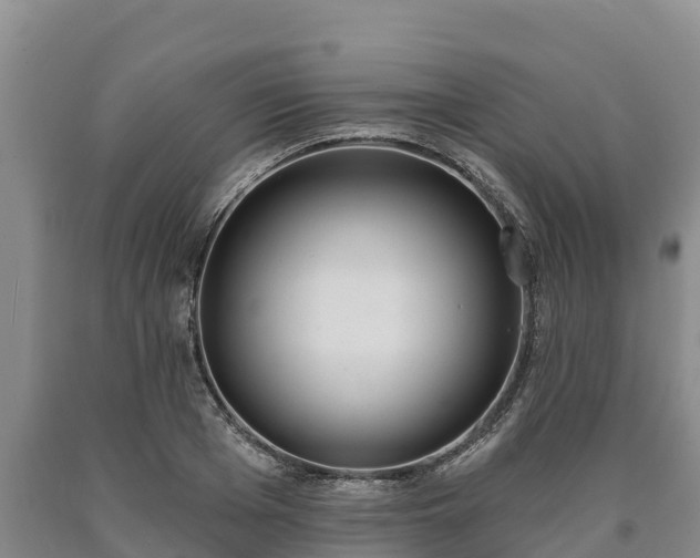 X0000090710985200707271128