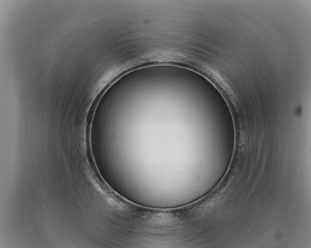 X0000090710986200707271128