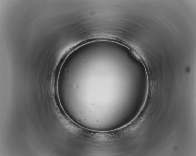 X0000090710987200707271128