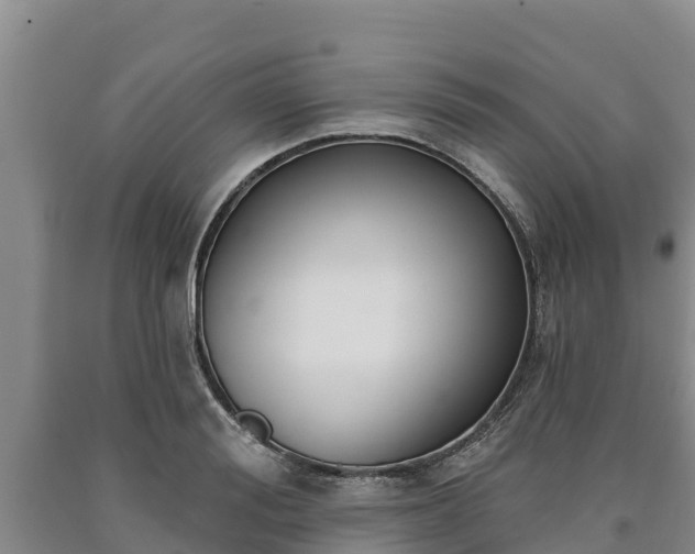 X0000090710988200707271128