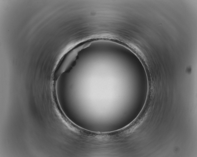 X0000090710989200707271128