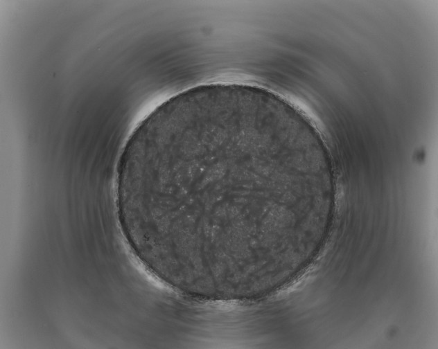 X0000090710990200707271128