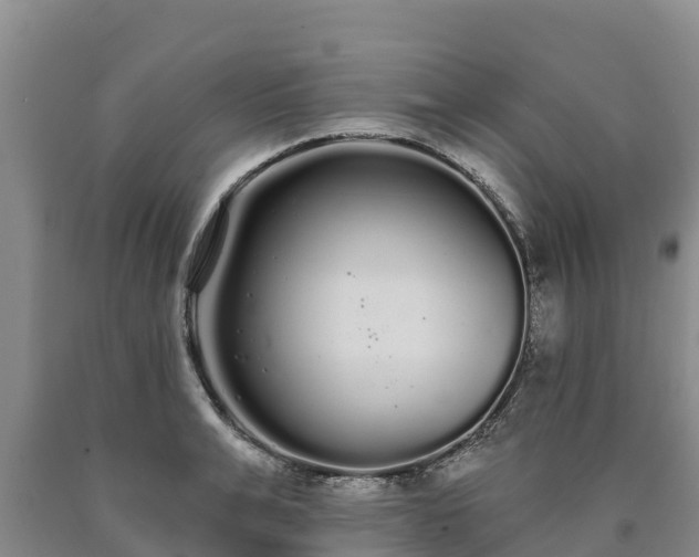 X0000090710991200707271128